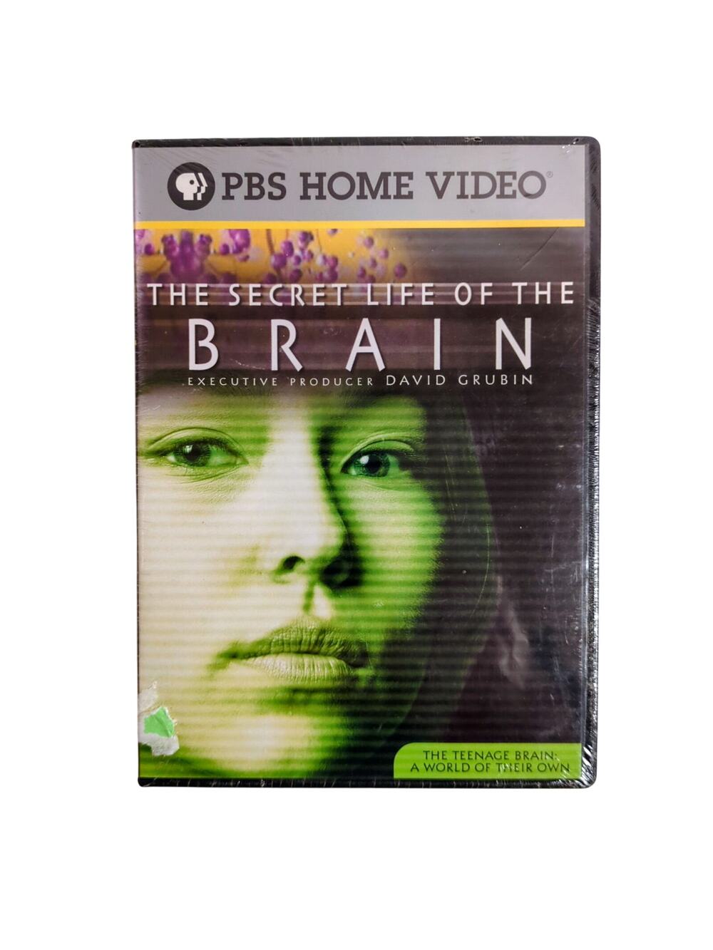Secret Life of the Brain: The Teenage Brain DVD PBS 2008 NEW Sealed Education